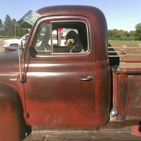 Meet your Posher, Chasity - Picture 1 of 1